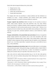 Prieraišumo teorija ir tipai 6 puslapis