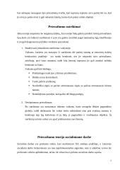 Prieraišumo teorija ir tipai 7 puslapis