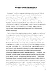 Krikščionybės atsiradimas 2 puslapis