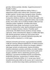 Esė apie pramonės perversmą 2 puslapis