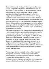 Esė apie pramonės perversmą 3 puslapis