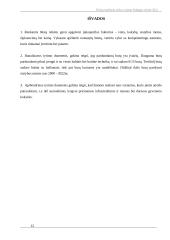 NT rinkos vertinimas Palangos mieste 12 puslapis