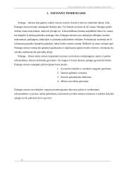 NT rinkos vertinimas Palangos mieste 3 puslapis