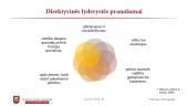 Lyderio elgesys 12 puslapis