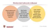 Lyderio elgesys 13 puslapis