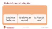 Lyderio elgesys 14 puslapis