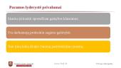 Lyderio elgesys 16 puslapis