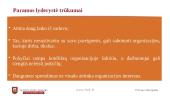Lyderio elgesys 17 puslapis