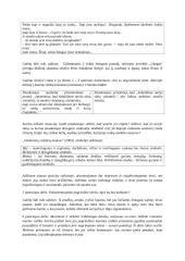 Literatūrinio rašinio eiga, patarimai su pavyzdžiais 4 puslapis