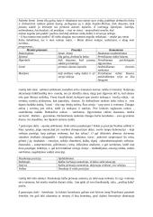 Literatūrinio rašinio eiga, patarimai su pavyzdžiais 5 puslapis