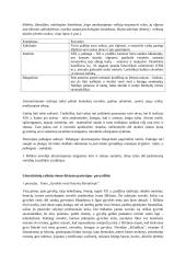 Literatūrinio rašinio eiga, patarimai su pavyzdžiais 6 puslapis