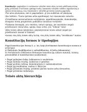 Konstitucinės teisės konspektas egzaminui 2 puslapis