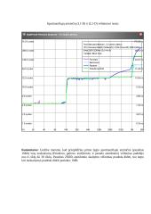 Spartinančiosios atminties posistemė 3 puslapis