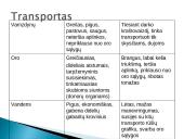 Transportas 8 puslapis