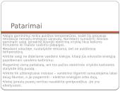 Fizika virtuvėje 14 puslapis