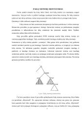 Failų sistemų montavimas, atsarginės kopijos, NTFS failų sistema 3 puslapis