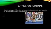 Tempimo pratimai (skaidrės) 16 puslapis