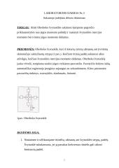 Oberbeko švytuoklės sukimosi kampinio pagreičio priklausomybė nuo jėgos momento 2 puslapis