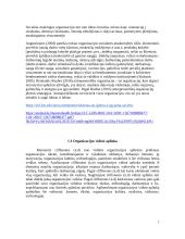 Kaunas ,,2022” dalykinio bendravimo analizė 5 puslapis