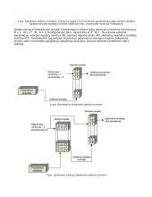 Šakojimosi nuspėjimo metodų modeliavimas ir tyrimas 5 puslapis