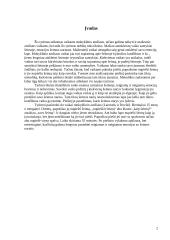 Šeimos piešinio tyrimas ir išvados 2 puslapis