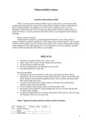 Šeimos piešinio tyrimas ir išvados 3 puslapis