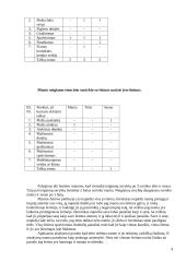 Šeimos piešinio tyrimas ir išvados 4 puslapis