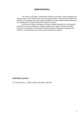 Šeimos piešinio tyrimas ir išvados 7 puslapis