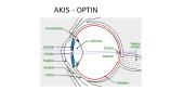 Akies optinė sistema 4 puslapis