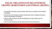 Interesų grupė 2 puslapis