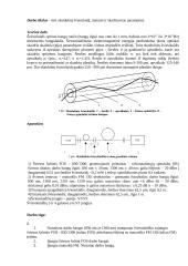 Skaidulinio šviesolaidžio tyrimas 2 puslapis