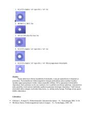 Skaidulinio šviesolaidžio tyrimas 4 puslapis