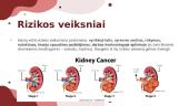 Inkstų vėžys (skaidrės) 3 puslapis