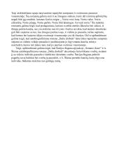 Lietuviškos tapatybės paieškos (A. Škėma, Šatrijos Ragana)  2 puslapis