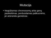 Mutacijos - skaidrės 2 puslapis