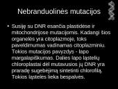 Mutacijos - skaidrės 11 puslapis