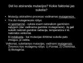 Mutacijos - skaidrės 12 puslapis