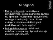 Mutacijos - skaidrės 13 puslapis