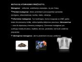 Mutacijos - skaidrės 14 puslapis