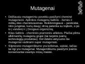 Mutacijos - skaidrės 15 puslapis