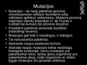 Mutacijos - skaidrės 3 puslapis