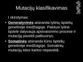Mutacijos - skaidrės 4 puslapis