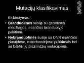 Mutacijos - skaidrės 5 puslapis