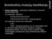 Mutacijos - skaidrės 6 puslapis