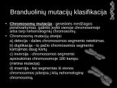 Mutacijos - skaidrės 7 puslapis