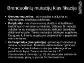 Mutacijos - skaidrės 8 puslapis