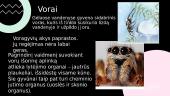 Voragyviai 5 puslapis