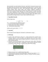 Polimonochromatinės šviesos bangos ilgio tyrimas Frenelio biprizme 2 puslapis