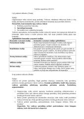 Vadybos egzamino užduotys