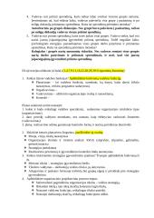 Vadybos egzamino užduotys 2 puslapis